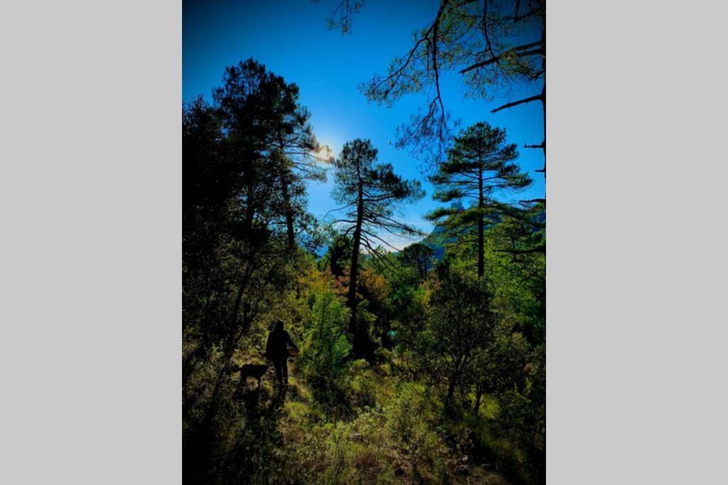 Casa Tatisita Buhardilla Διαμέρισμα Segura de la Sierra Εξωτερικό φωτογραφία